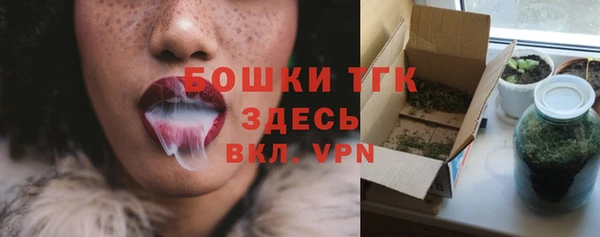 spice Елизово