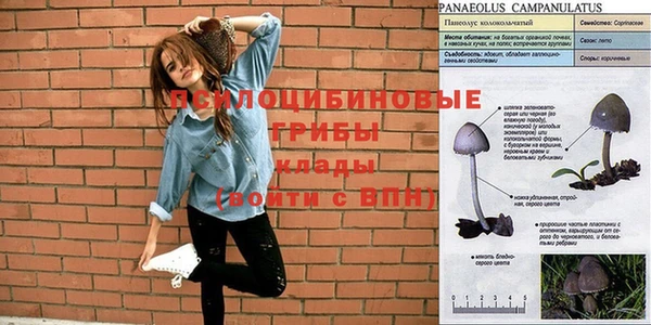 эйфоретик Дмитров