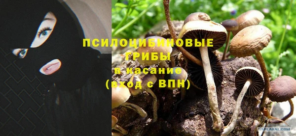 spice Елизово