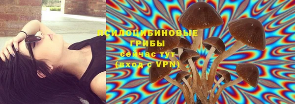 бутират Елабуга