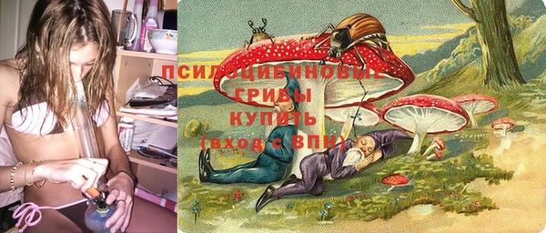 эйфоретик Дмитров