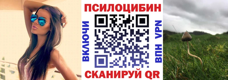 Псилоцибиновые грибы прущие грибы  наркошоп  мега ONION  Касимов 