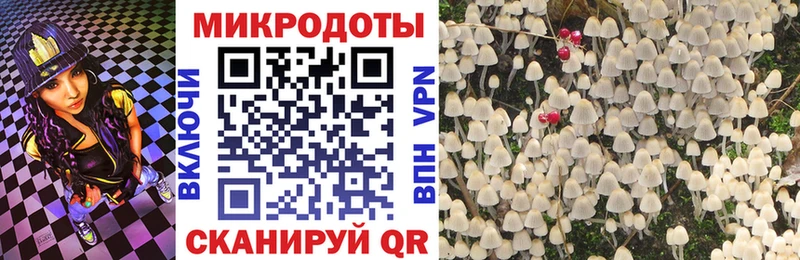 Галлюциногенные грибы Psilocybine cubensis Касимов