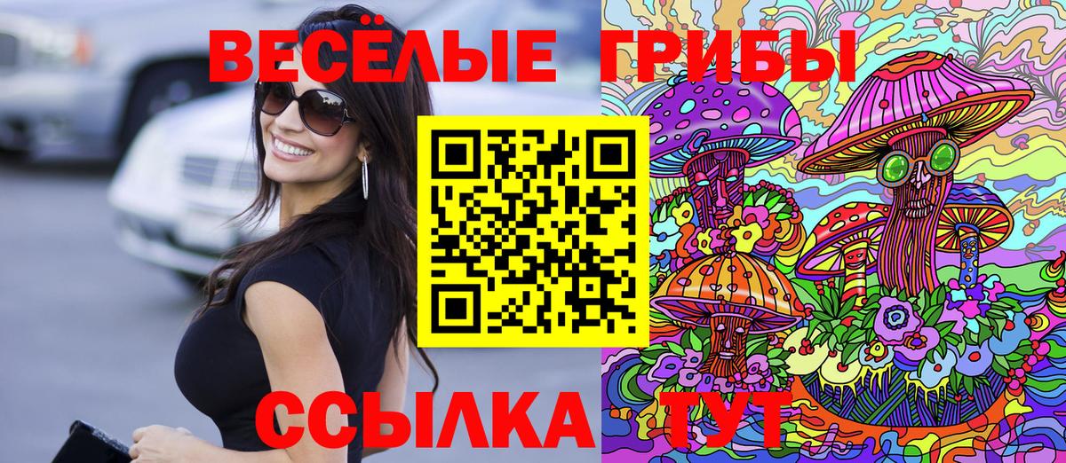 Касимов  Галлюциногенные грибы прущие грибы  Вход с VPN  Галлюциногенные грибы мицелий 