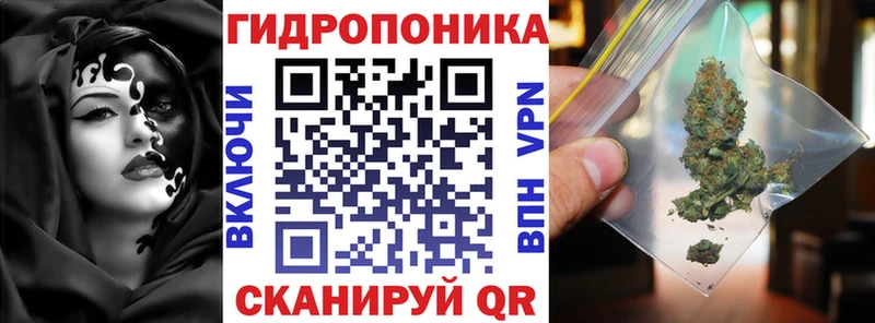 Бошки марихуана семена  цена   гидра вход  Касимов 